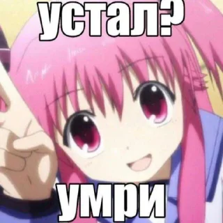 🌸