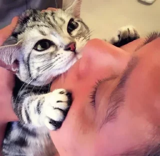 ❤️