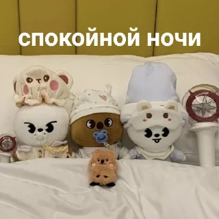 💤