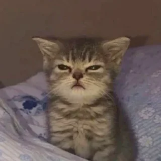 😡