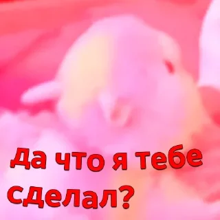 🤕