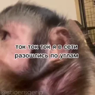 😍