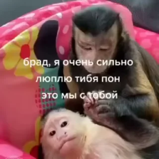 🌟