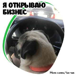 😎