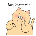😾