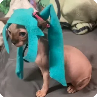 🤪