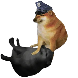 👮‍♂