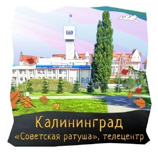 📺