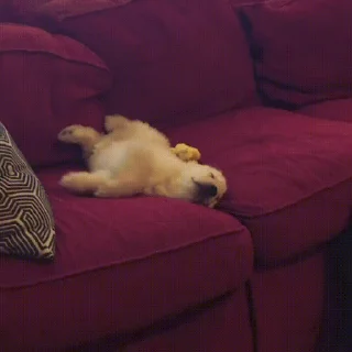 💤