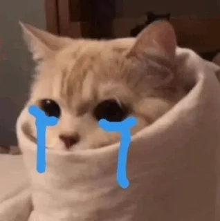 😭