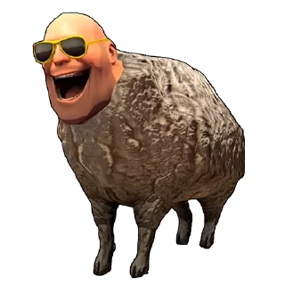 🐑