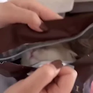 😻