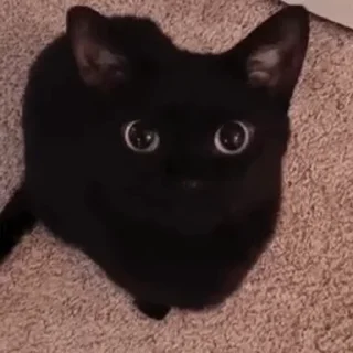💕