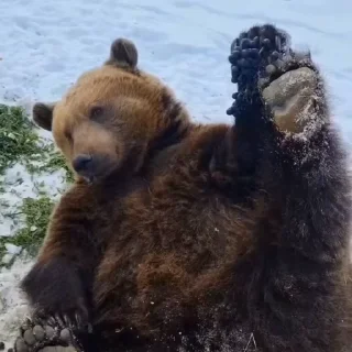 🤩