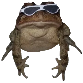🐸