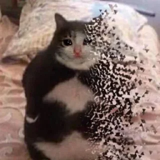 🥺