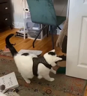 😮