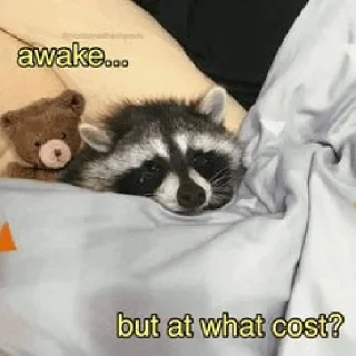 🫥