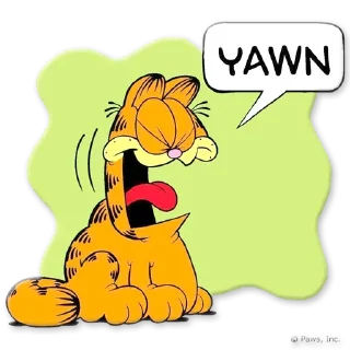 😺
