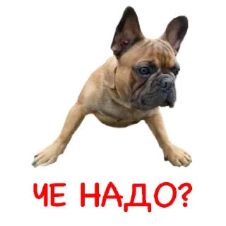 😎