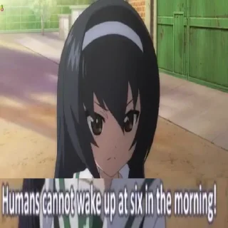 😴