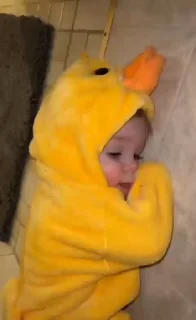 🐥