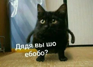 👦