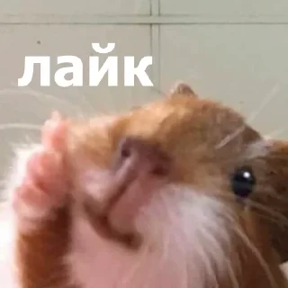 🙂