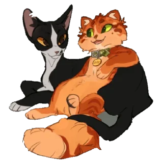 🐱