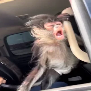 💨