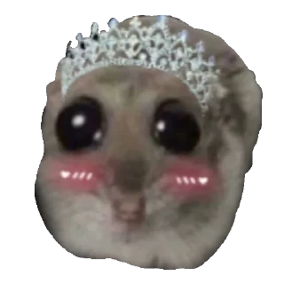 👸