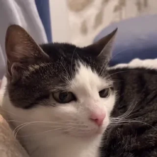 😒