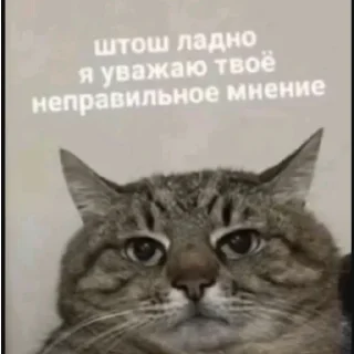 😑