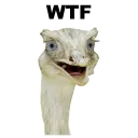😮