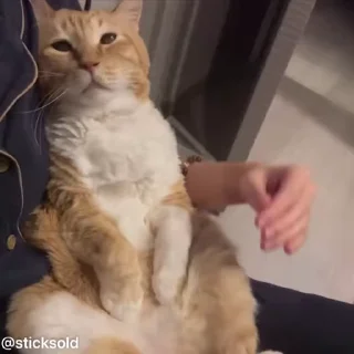 😜