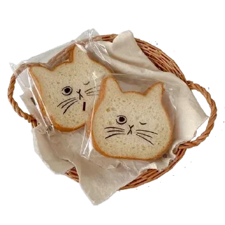🐈