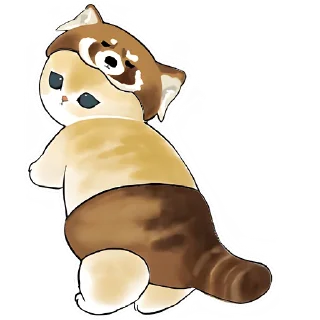 🦝