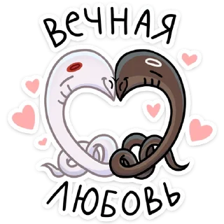 ❤️