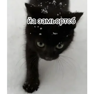 ❄️