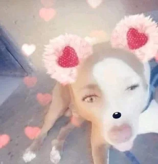 😗