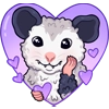 awesomepossum (@kotypic)