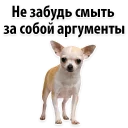 🤧