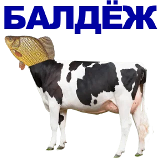 🐠