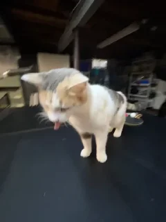 😛