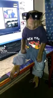 😎