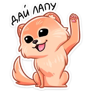 👋