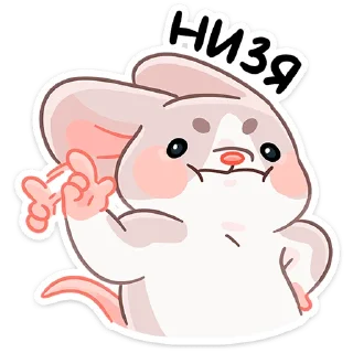 🙅‍♂️
