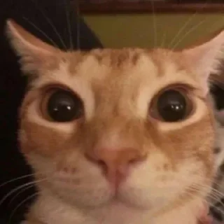 😃