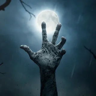 🤚