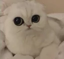 😌